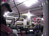 Hormel Supplier Caught Abusing Mother Pigs and Piglets