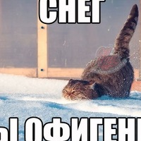Евгений Борисенко