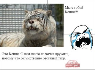 тигр кенни умственно отсталый фото тигр кенни умственно отсталый фото