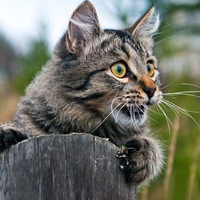 Людмила Новикова