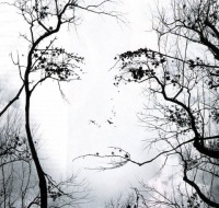 Светлана Кондакова