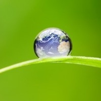 Ирина Никитина