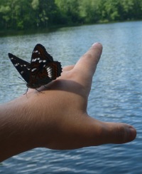 Иван Николаенко