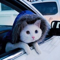 Волшебник Волшебник