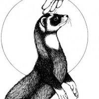 Авель Лайриций