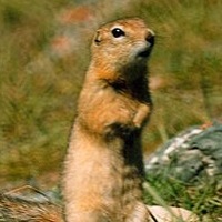 Сидор Сидоров | Анапа