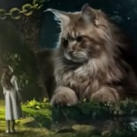 Екатерина Бурмистрова