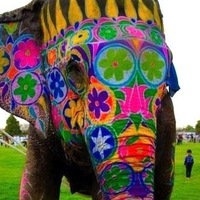 Алёна Абсушина  Игоревна