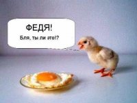 прикольные картинки для контакта онлайн прикольные картинки для контакта