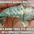 Фото пользователя Андрей