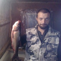 Евгений Левченко