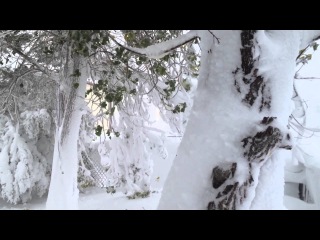 October Blizzard 2013, South Dakota (Winter Storm Atlas)