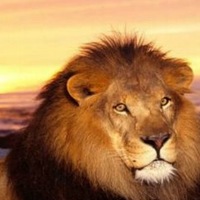 Данила Исаев