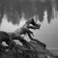 Ирина Ягмур