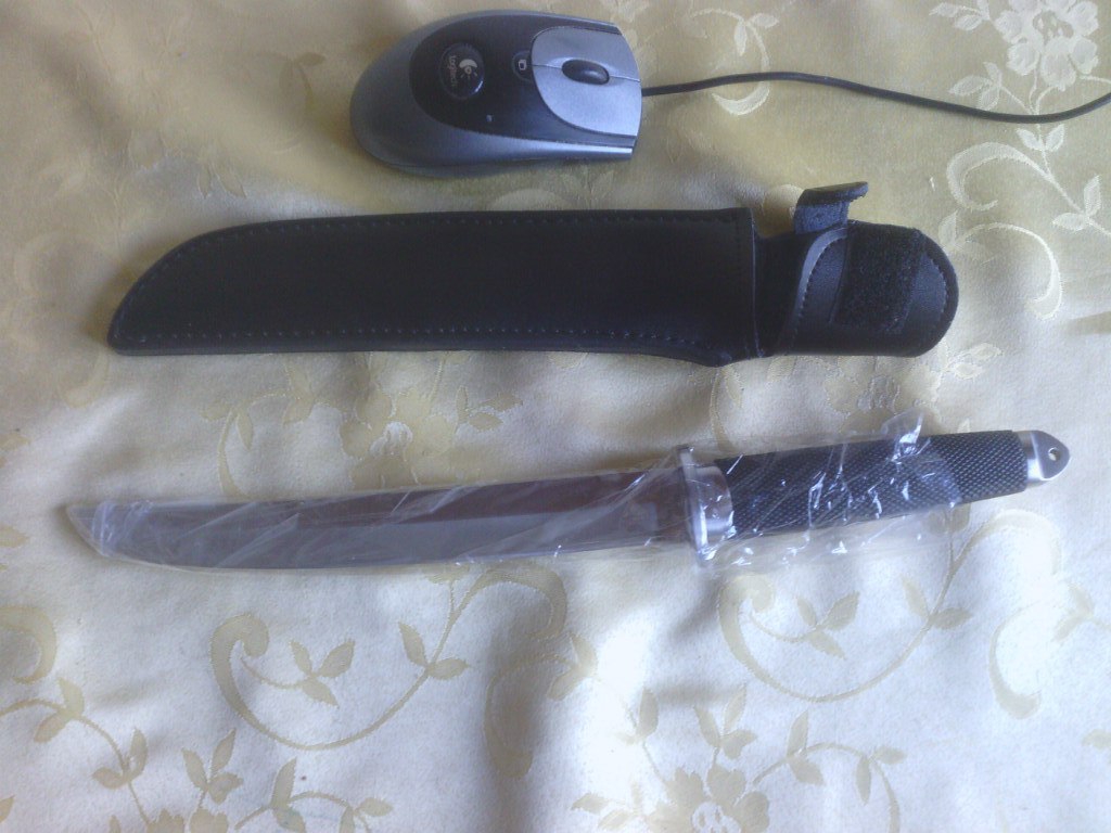 qXojsiLpX8E.jpg