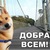 Фото пользователя Артём