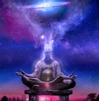 Vincitore Rápida  !Sagace!