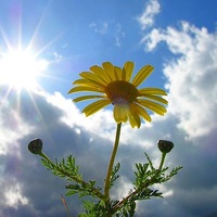 Рома Куприенко