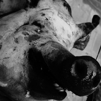 Дмитрий Хаттаб