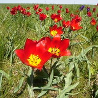 Марина Манджиева | Элиста