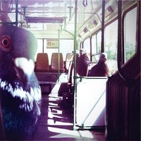 Дмитрий Бабаченко