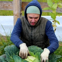 Вадим Ховалыг