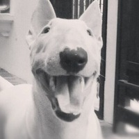 Леха Костырко