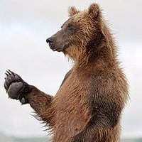 Костя Холодов