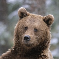 Эдуард Йцуйцу