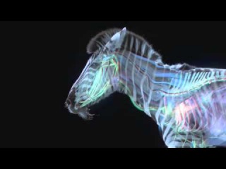 Hugh Turvey: promotional video for Ford Mondeo