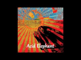 Acid Elephant - Las Noches del Desierto