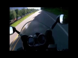 Video: Motorcyclist Crashes Into Bear in Canada