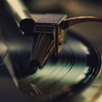 Сергей Мамонт