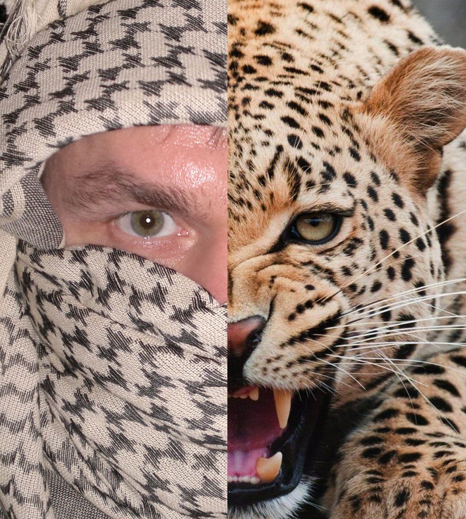 Александр Царегородцев