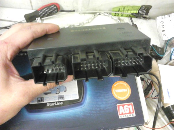 Октавия Октавия