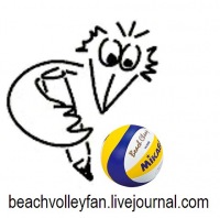 Beachvolley Fan