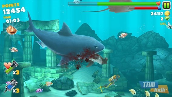 evolution of sharks evolution of sharks