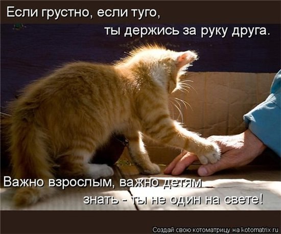 картинки мы с тобой держись онлайн картинки мы с тобой держись