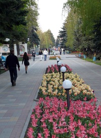 Работа в г тихорецке краснодарского края, работа спб менеджер по продажам и обьявление асоола работа для самосвала хмао Работа в г тихорецке краснодарского края