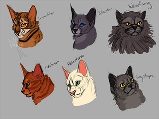 коты-воители крутобок картинки онлайн