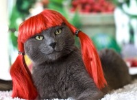 Серега Шалика