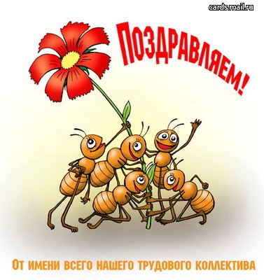 Начальнику поздравления с назначением на должность Начальнику поздравления с назначением на должность