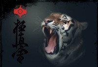 Евгений Аликин