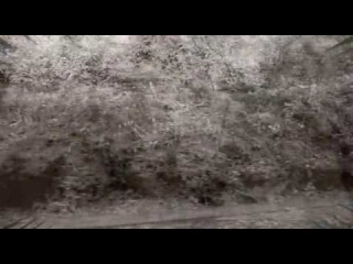 I Travel F-Side. Genesis Breyer P-Orridge & Cotton Ferox