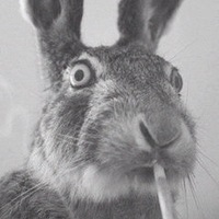 Мария Краснова