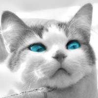 Федор Потапов | 