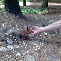 Олег Анатольевич | Волжский