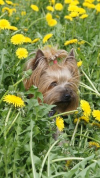 Катя Омутова