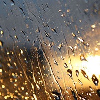 Елена Алешина