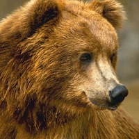 Михаил Некрасов  РЫЖИЙ